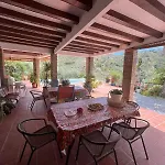 Los Olivos