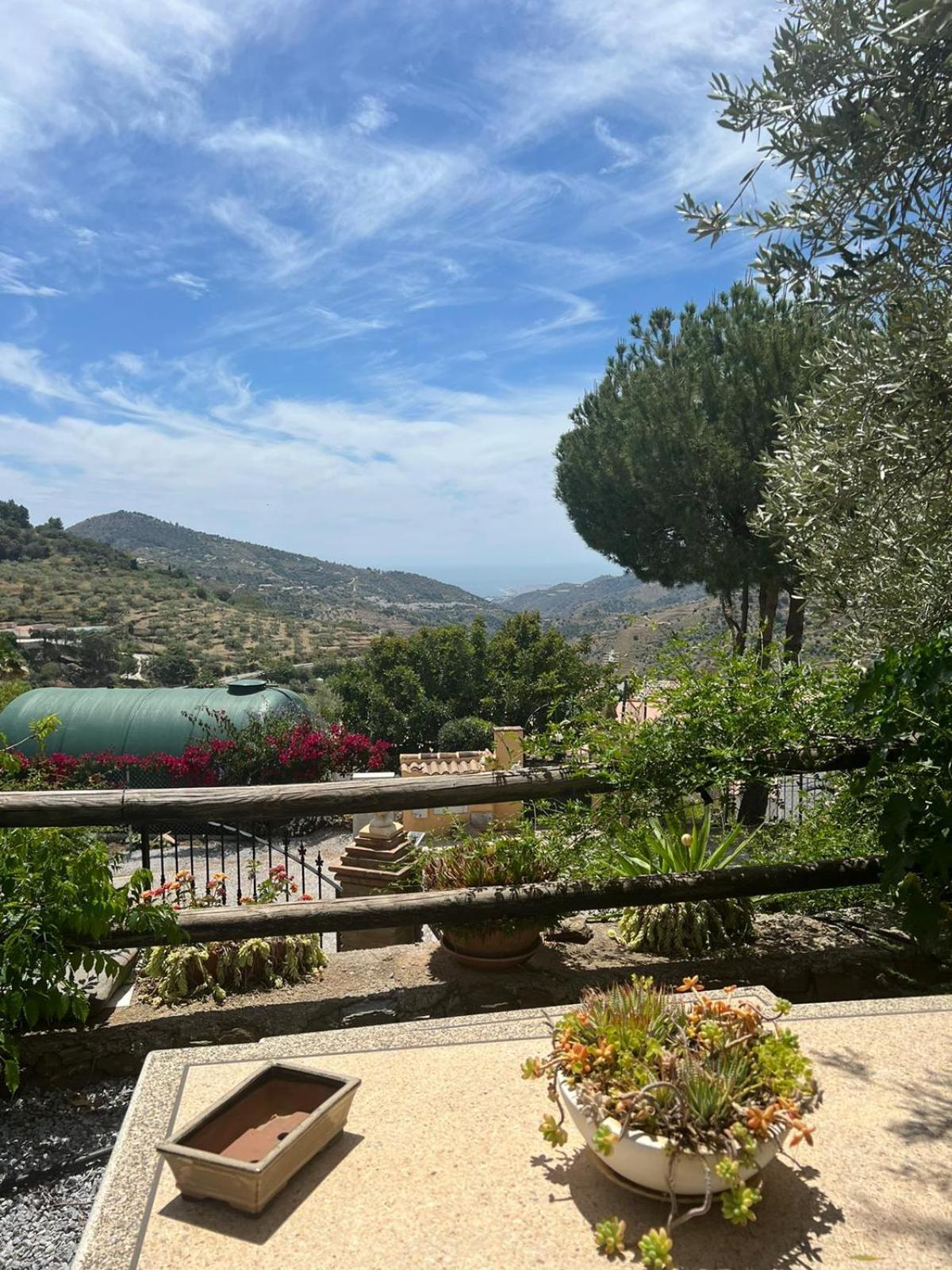 Villa Olivos